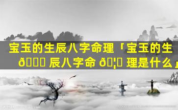 宝玉的生辰八字命理「宝玉的生 🍀 辰八字命 🦊 理是什么」
